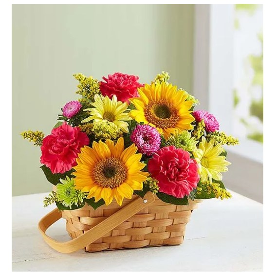 sunny_garden_basket_small_colorful_flowers_flowerama_springfield_mo_flower_delivery