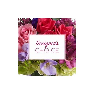 Designers_Choice