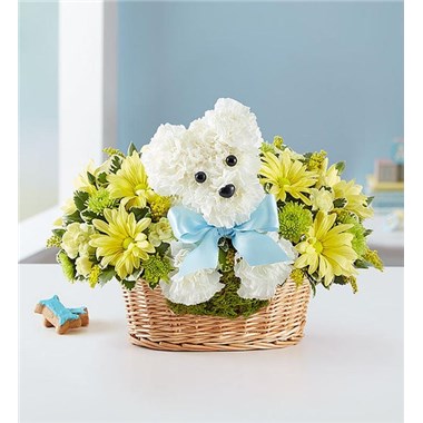 its-a-boy-springfield-mo-flower-delivery